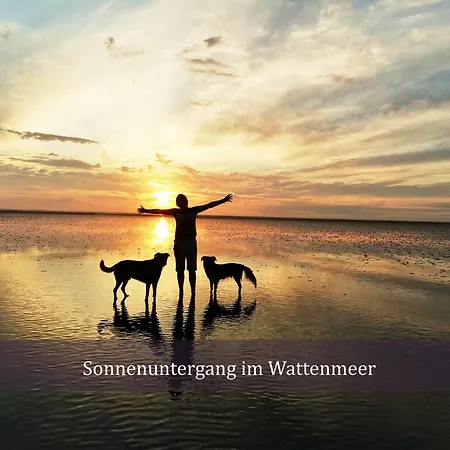 Nordwind Zwischen Nordsee & Bremerhaven Apartmán *